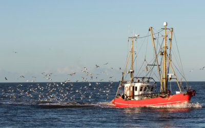 Supporting Healthy Oceans