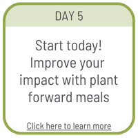 Day 5