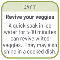 Day 11