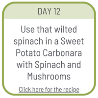Day 12