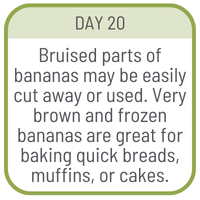 Day 20