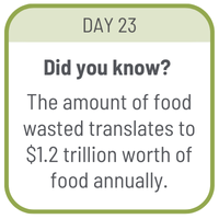 Day 23
