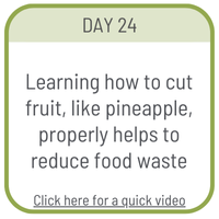 Day 24