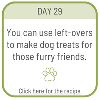 Day 29