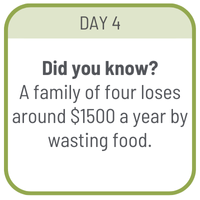 Day 4