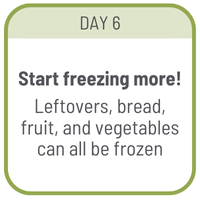 Day 6