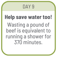 Day 9