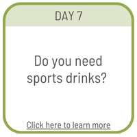 Day 7