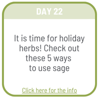 Day 20