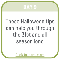 Day 7