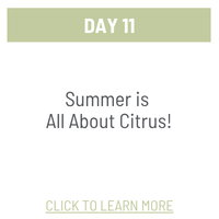 Day 11
