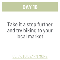 Day 16