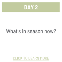 Day 2