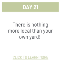 Day 21