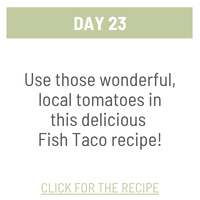 Day 23