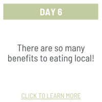 Day 6