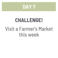Day 7